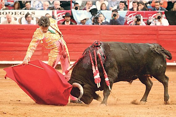 En la Opinión de Pepe Mata… ¿No sería mejor que José Tomás y acompañantes toreen un festival? En la Opinión de Pepe Mata… ¿No sería mejor que José Tomás y acompañantes toreen un festival?